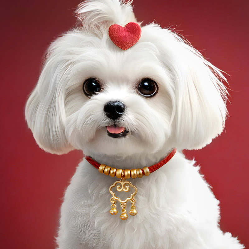 Red String Bead Protection Adjustable Cats Small Dogs Pet Collar