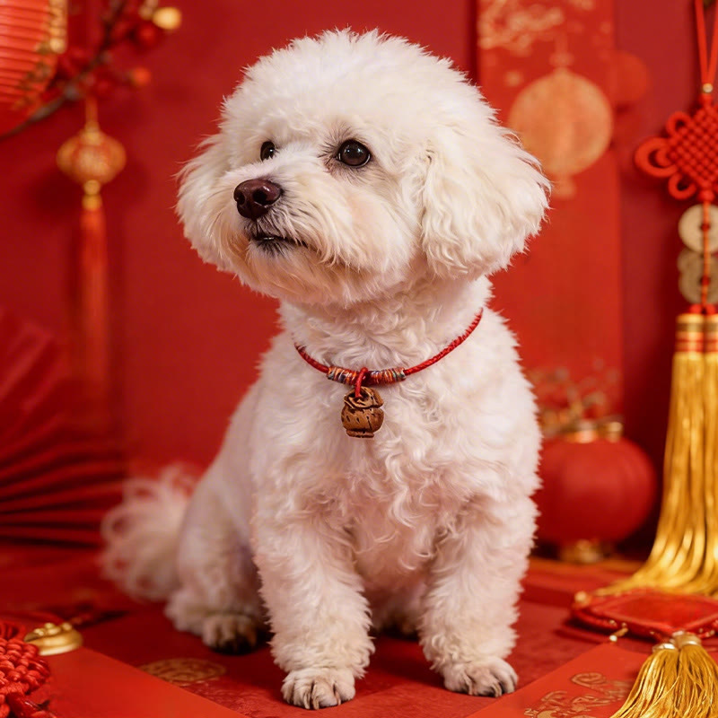 Plaited Peach Pit Red String Strength Adjustable Cats Dogs Pet Collar