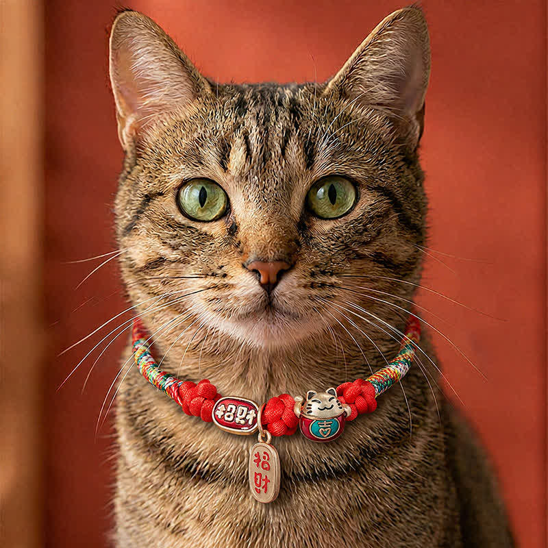 Red String Plaited Auspicious Fu Character Protection Adjustable Cats Pet Collar